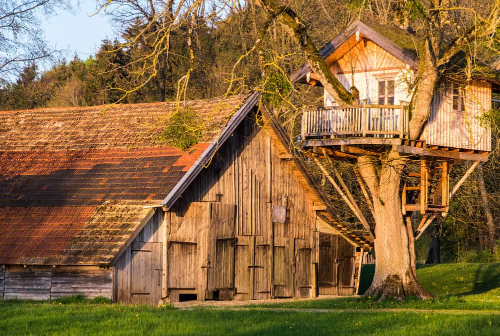 专业建造的树屋，有前甲板和山墙屋顶，在谷仓旁边的大树枝上。