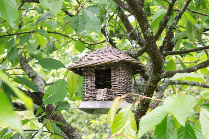 鸟笼一种悬挂的柳条鸟屋，其门大到足以让较大种类的鸟通过