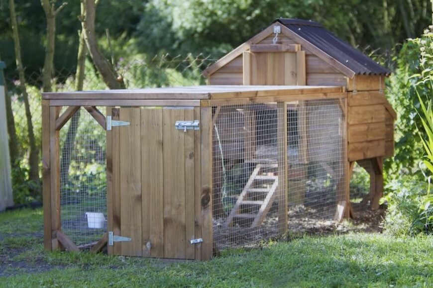 如果你喜欢有一个圈养你的鸡，这可能是一个更好的选择，你的后院。铁丝网围栏把母鸡圈在一起，后面的舒适鸡舍为它们提供了一个筑巢的好地方。