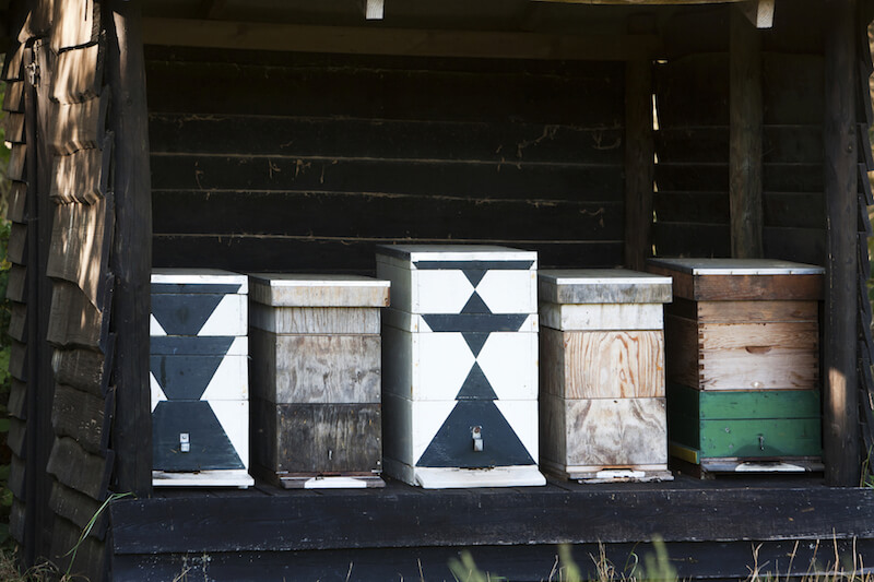 另一种选择是把几个蜜蜂箱存放在一个开放的棚子里，就像这样。根据你的风格和装饰来装饰它们。