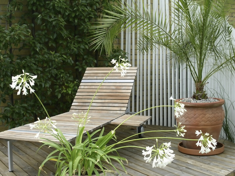即使是小得多的盆栽棕榈树也能营造气氛。它让这把简单的木制躺椅有了热带度假胜地的气息。