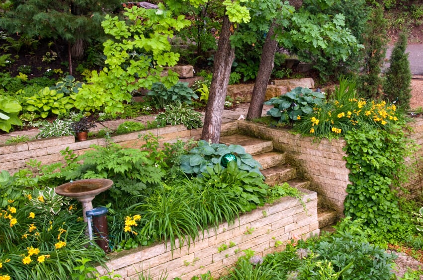 这座花园有高高的露台，可以通往房屋后面的山上。在中心建造的楼梯可以帮助房主到更高的露台浇水或施肥。