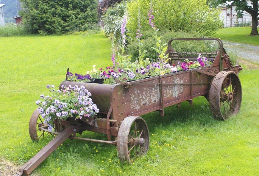 这辆锈迹斑斑的古董马车上摆满了各种各样的鲜花，包括一些较高的品种，以增加展示的高度。