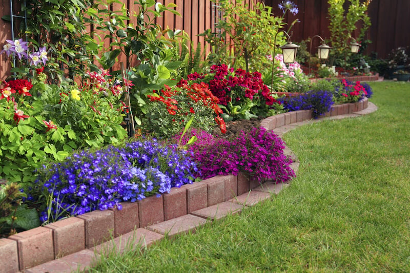 如果你喜欢光滑的边缘，使用摊铺机很容易定义你的花坛。然后随意地让你的植物混合在颜色爆炸中。