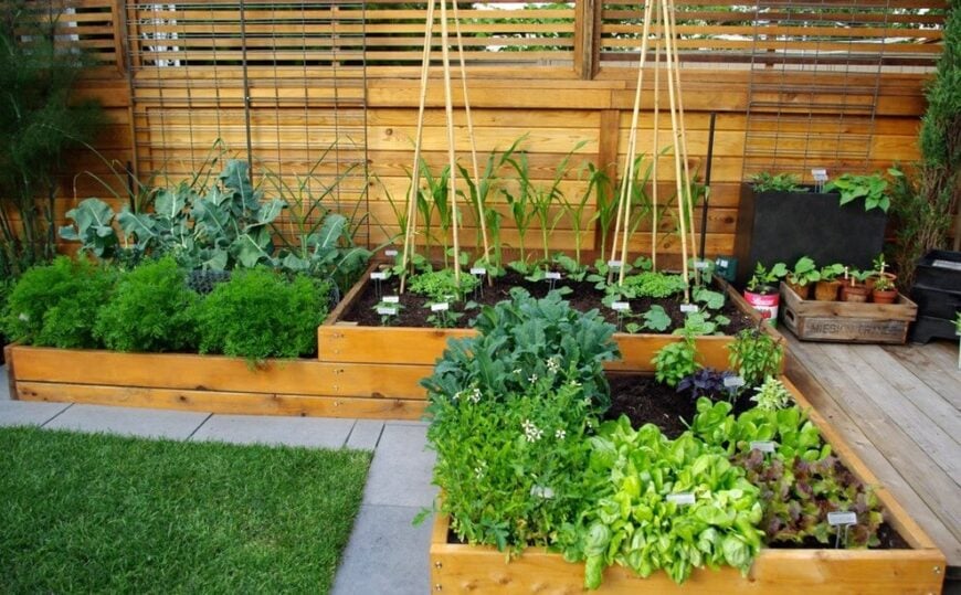 这个蔬菜花园是在一个l型的凸起的床上建造的，利用了庭院附近花园的一个大部分未使用的角落