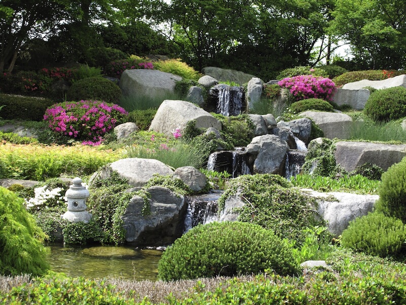 花园中巨大的巨石被用来形成一个可爱的多层瀑布。中间的土地上长满了灌木、喜水植物和一些开花的灌木。