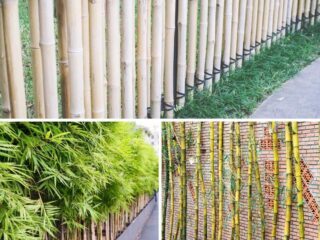 A photo collage of bamboo fencing.