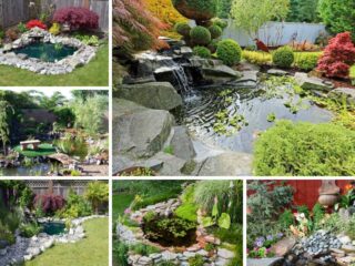 Photo collage of different backyard ponds.