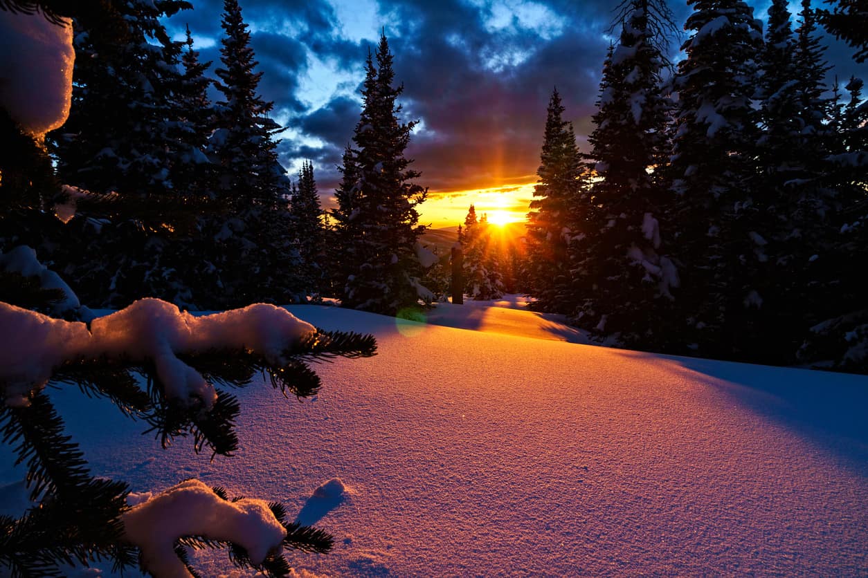 日出在白雪覆盖的树上