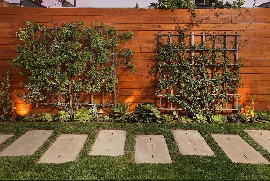 这个高大、坚固的隐私篱笆是一个美丽的、丰富的污点，点缀着木棚架和一个多汁植物种植床。