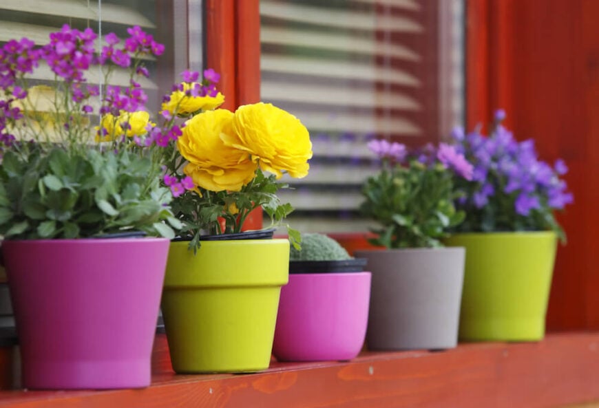 如果你喜欢更简单的方法，一些陶瓷的，色彩鲜艳的花盆可能是最佳选择。