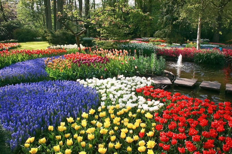 在这个可爱的花园中，数十种颜色的花朵挤在花坛中，慢慢地融合在一起，形成了精致花朵的棉被图案。