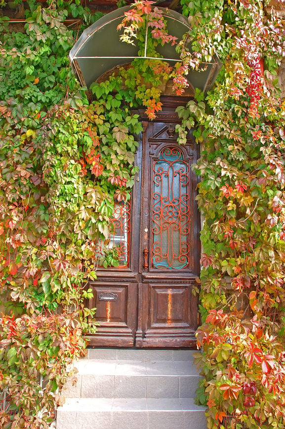 一扇古色古香的双扇门，玻璃嵌板包裹着华丽的金属。取决于一个人的偏好，匍匐植物的丰富可以制造或打破整个外观。